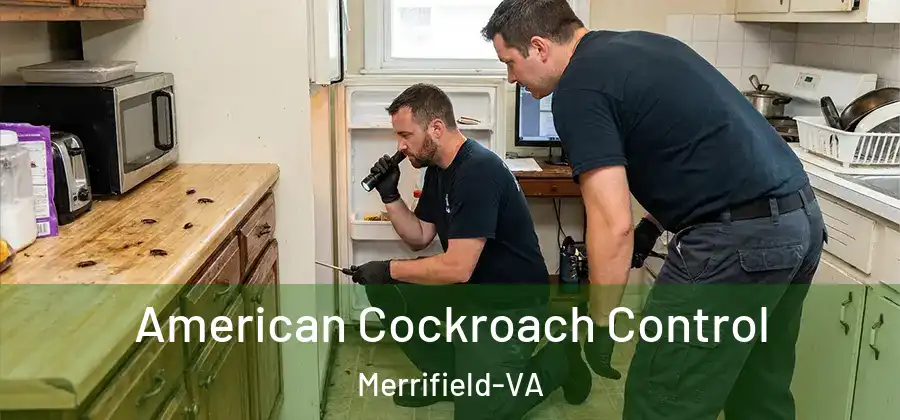  American Cockroach Control Merrifield-VA