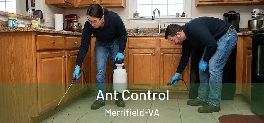Ant Control Merrifield-VA