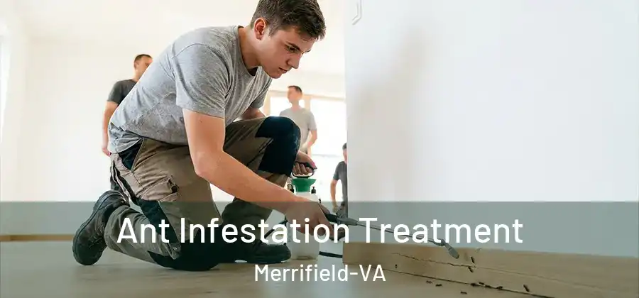 Ant Infestation Treatment Merrifield-VA