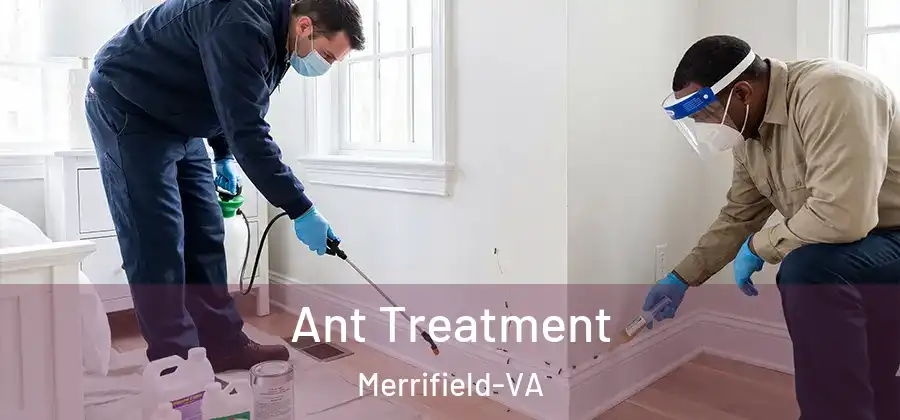  Ant Treatment Merrifield-VA