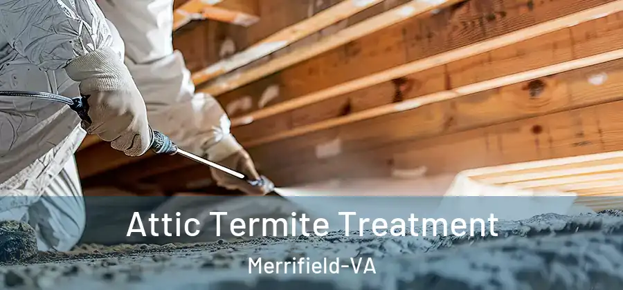 Attic Termite Treatment Merrifield-VA