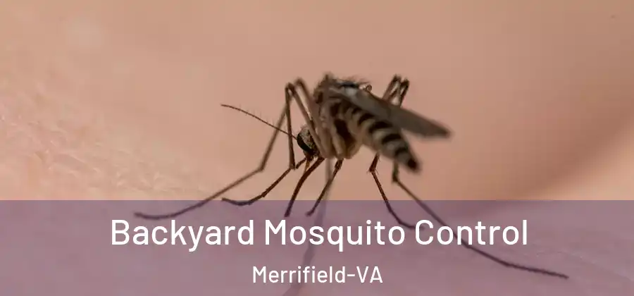 Backyard Mosquito Control Merrifield-VA