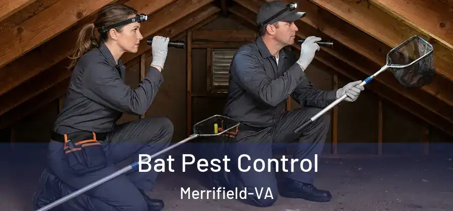 Bat Pest Control Merrifield-VA