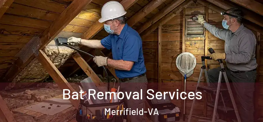 Bat Removal Services Merrifield-VA