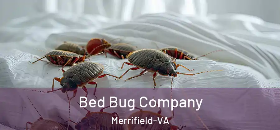 Bed Bug Company Merrifield-VA
