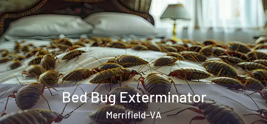 Bed Bug Exterminator Merrifield-VA