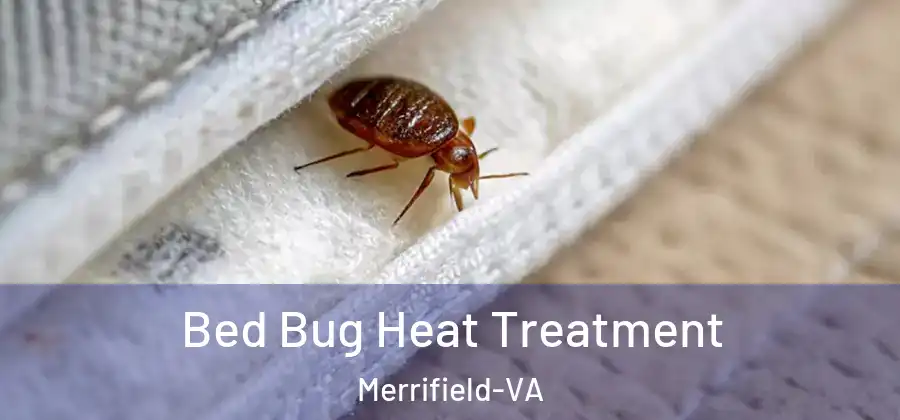 Bed Bug Heat Treatment Merrifield-VA