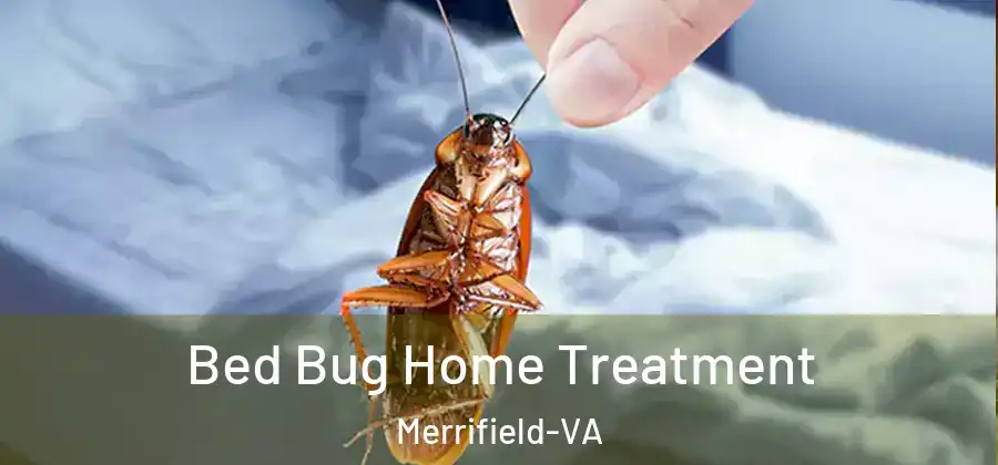 Bed Bug Home Treatment Merrifield-VA