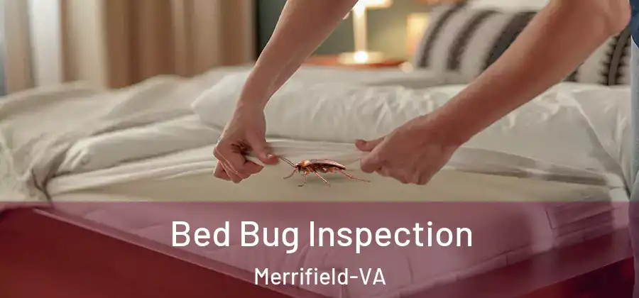 Bed Bug Inspection Merrifield-VA