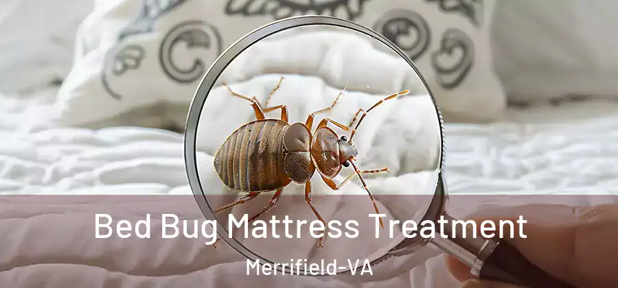 Bed Bug Mattress Treatment Merrifield-VA