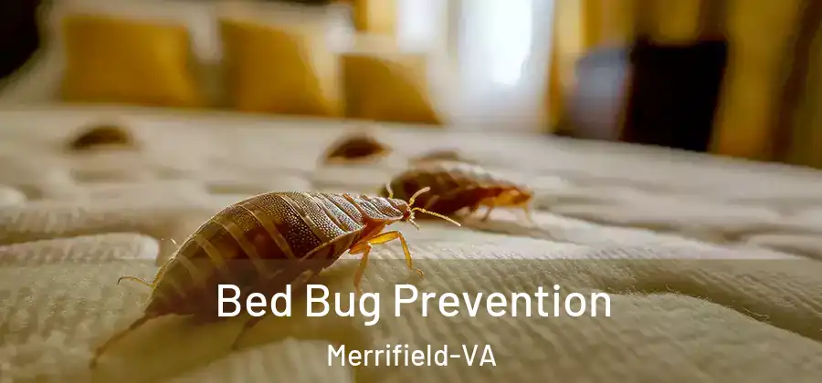 Bed Bug Prevention Merrifield-VA