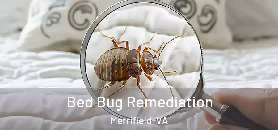  Bed Bug Remediation Merrifield-VA