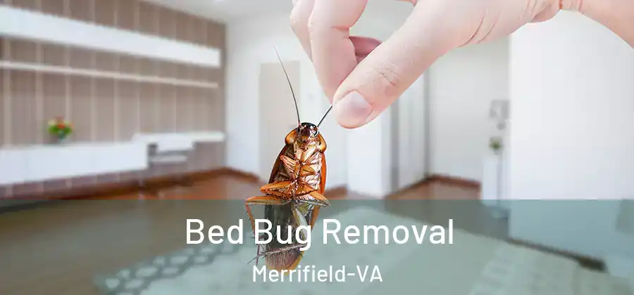 Bed Bug Removal Merrifield-VA