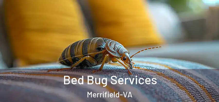 Bed Bug Services Merrifield-VA