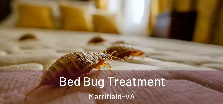 Bed Bug Treatment Merrifield-VA