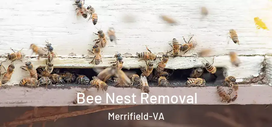  Bee Nest Removal Merrifield-VA