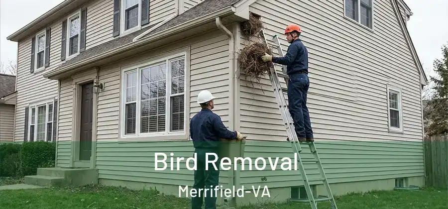 Bird Removal Merrifield-VA