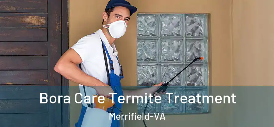 Bora Care Termite Treatment Merrifield-VA