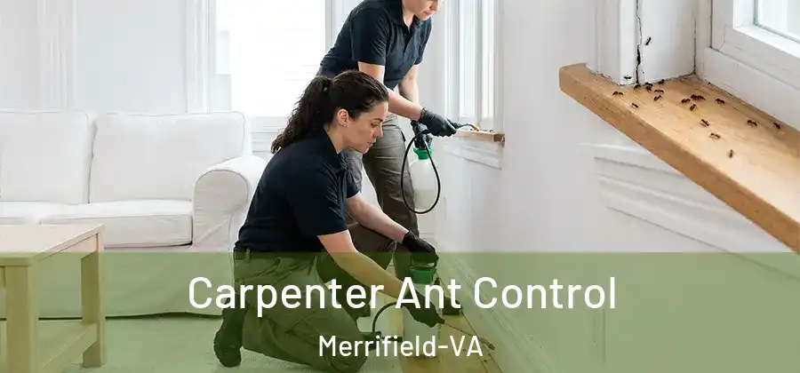 Carpenter Ant Control Merrifield-VA