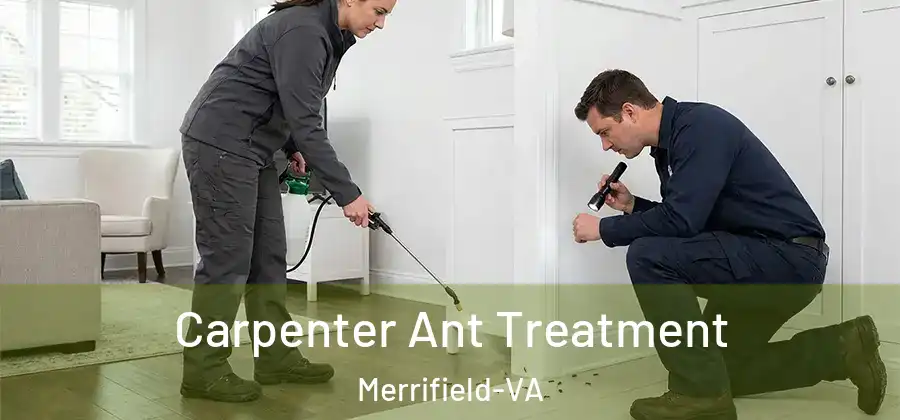Carpenter Ant Treatment Merrifield-VA