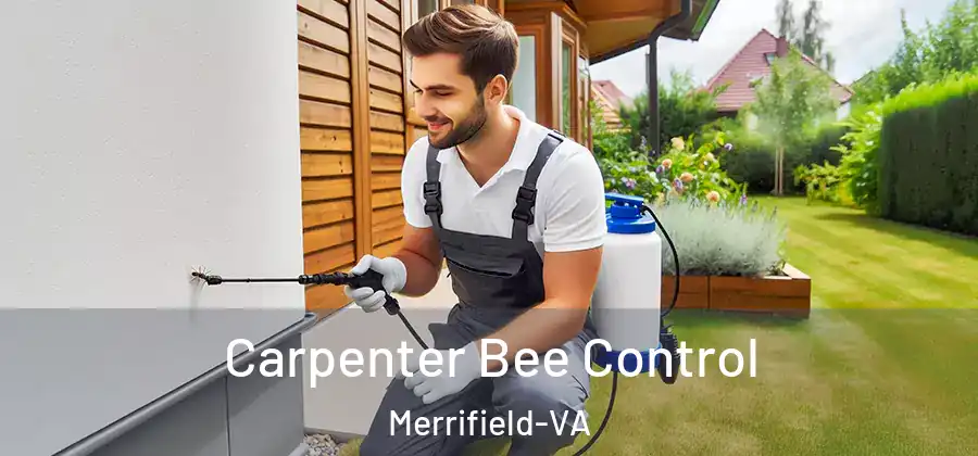 Carpenter Bee Control Merrifield-VA