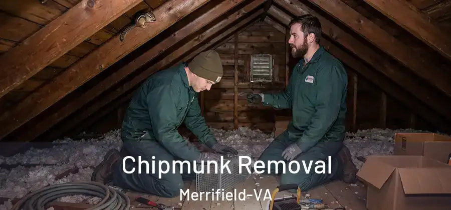 Chipmunk Removal Merrifield-VA