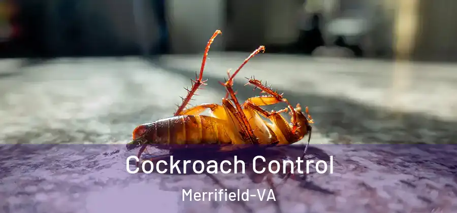 Cockroach Control Merrifield-VA