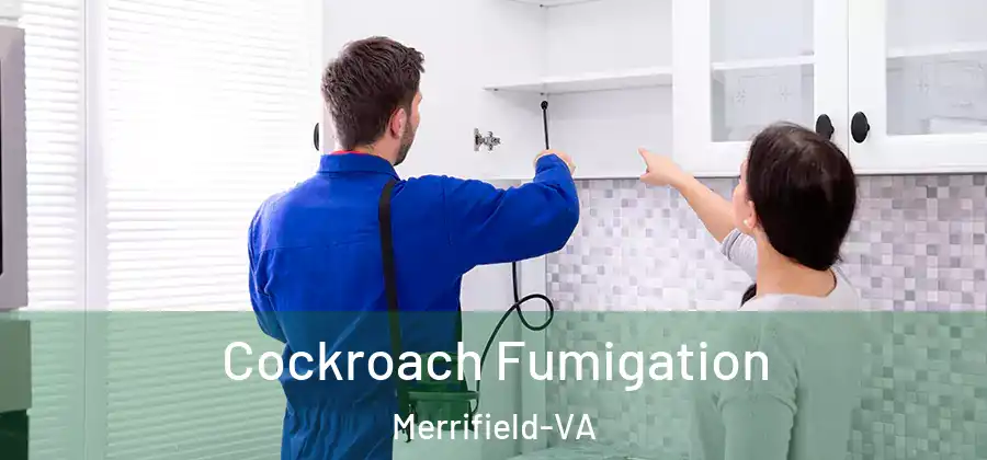Cockroach Fumigation Merrifield-VA