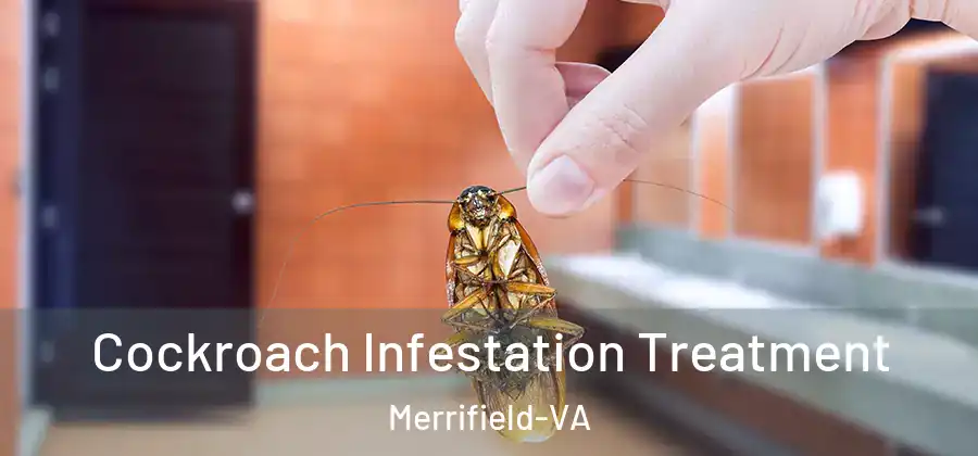 Cockroach Infestation Treatment Merrifield-VA