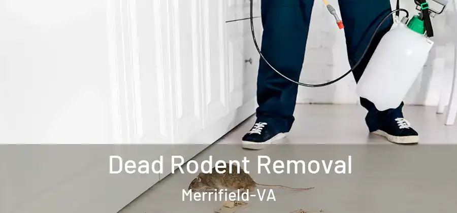  Dead Rodent Removal Merrifield-VA