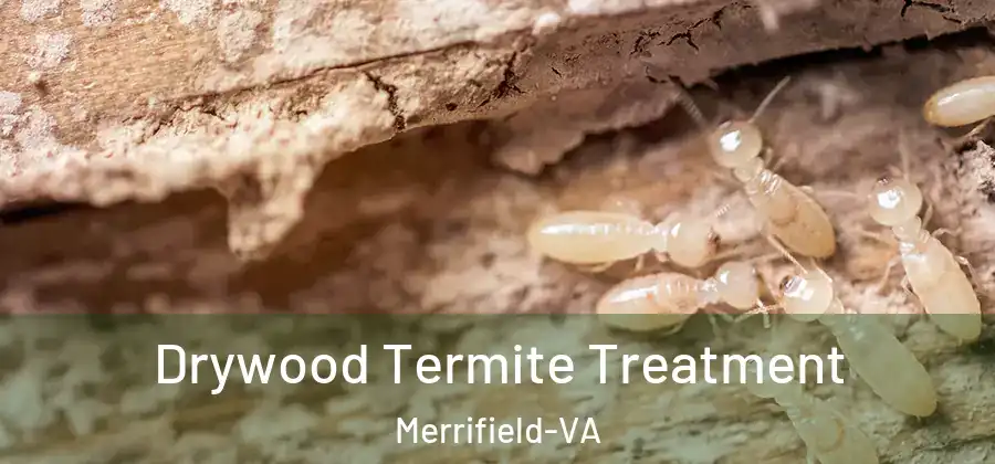  Drywood Termite Treatment Merrifield-VA