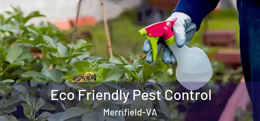 Eco Friendly Pest Control Merrifield-VA