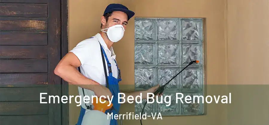 Emergency Bed Bug Removal Merrifield-VA
