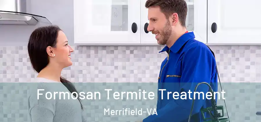 Formosan Termite Treatment Merrifield-VA