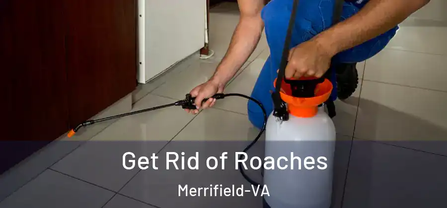 Get Rid of Roaches Merrifield-VA