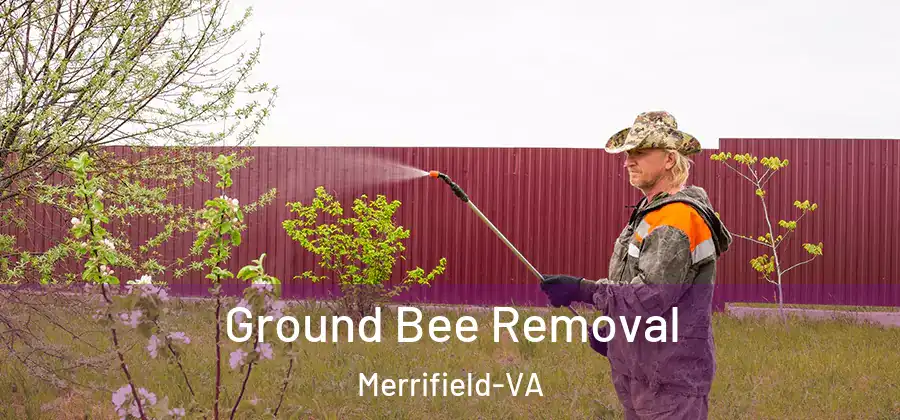  Ground Bee Removal Merrifield-VA