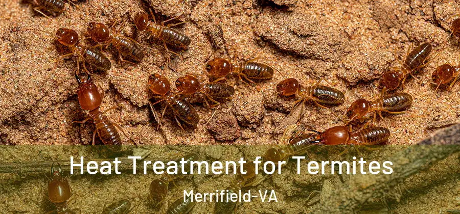  Heat Treatment for Termites Merrifield-VA