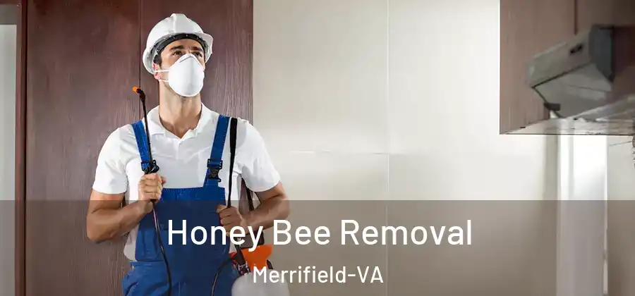 Honey Bee Removal Merrifield-VA