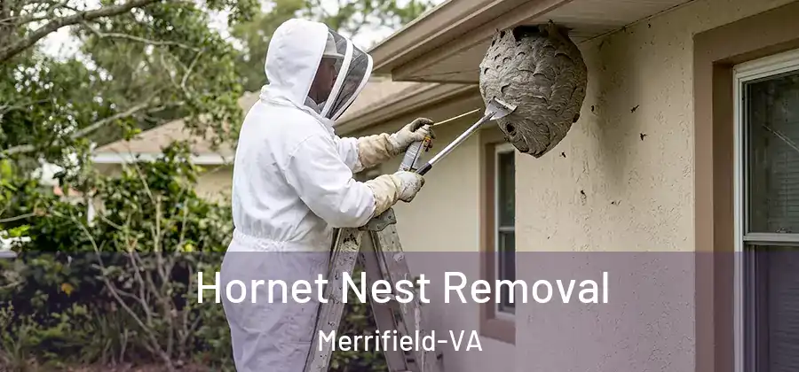 Hornet Nest Removal Merrifield-VA