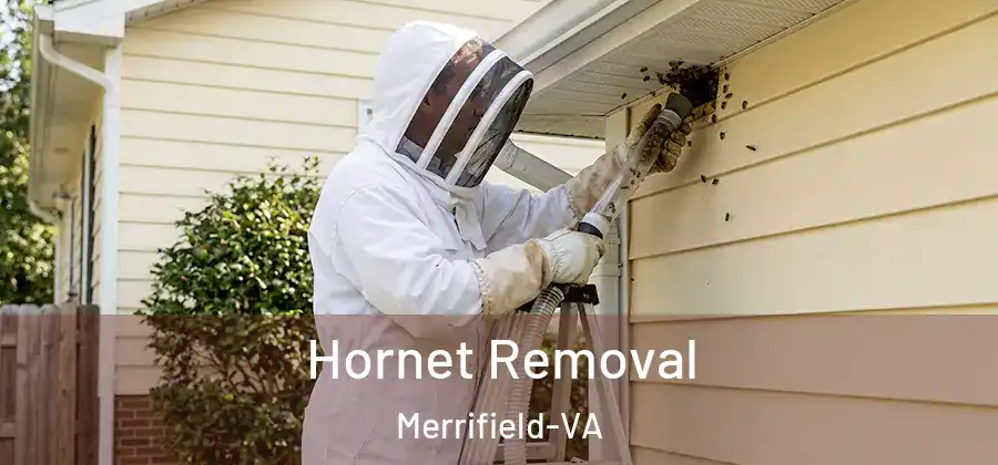 Hornet Removal Merrifield-VA