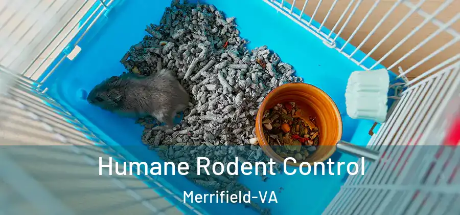 Humane Rodent Control Merrifield-VA