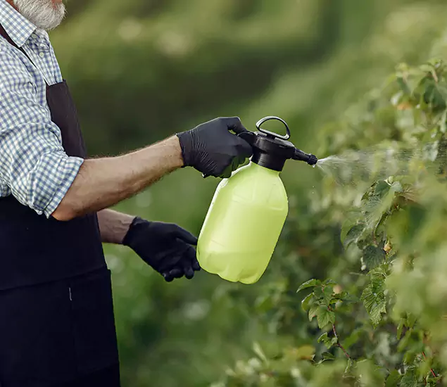 Your Proven Mosquito Treatment Company in Merrifield, VA