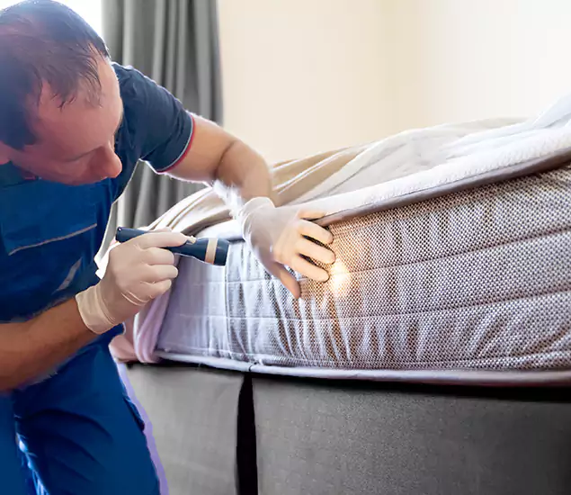 Trusted Bed Bug Cost Experts in Merrifield, VA