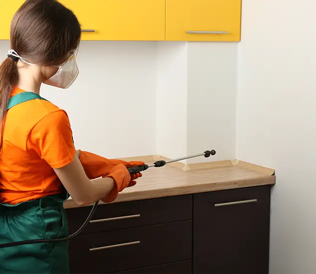 Trusted Bed Bug Pest Control Specialist in Merrifield, VA