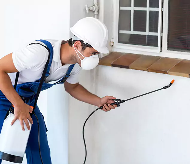 Your Professional Cockroach Exterminator in Merrifield, VA