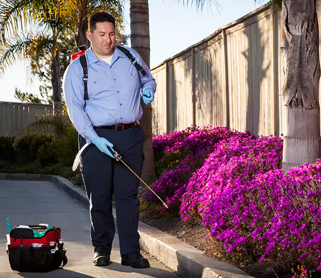 About Our Eco Safe Pest Control Experts in Merrifield, VA