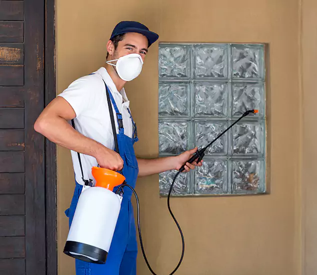 Your Reliable Pest Control in Merrifield, VA