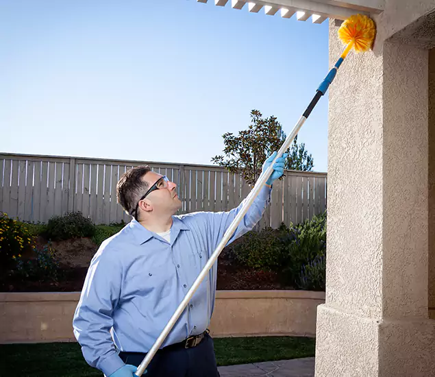 Trusted Experts in Merrifield VA for Formosan Termite Treatment and Black Termite Control