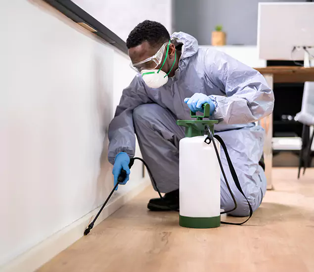 Leading Industrial Pest Control Experts Serving Merrifield, VA