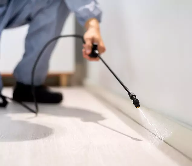 About Our Liquid Termite Treatment Experts in Merrifield, VA